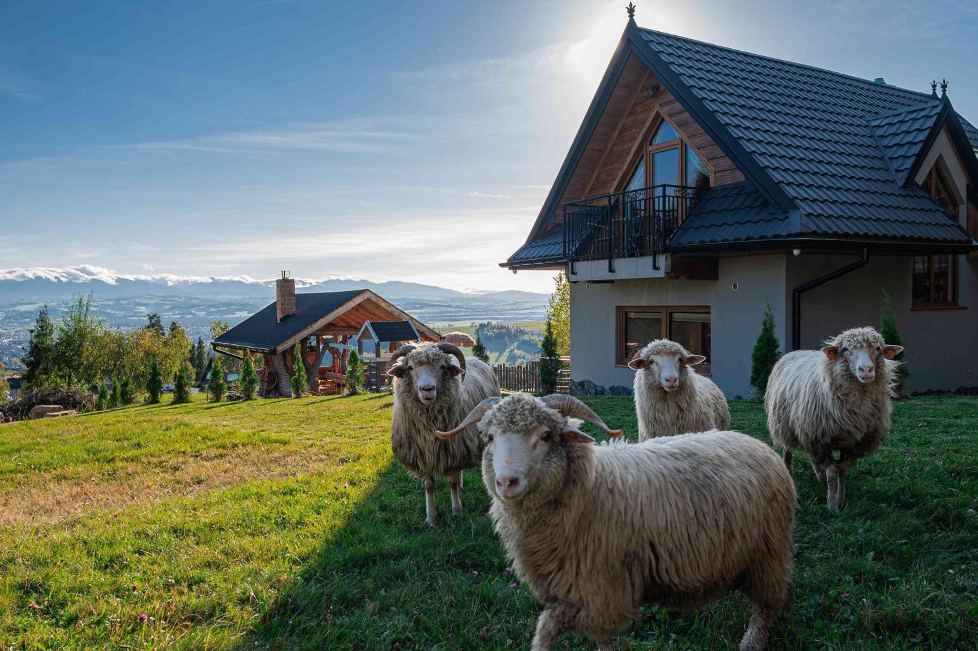 Villa Lesne Zacisze Neumarkt Exterior foto